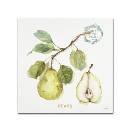 Lisa Audit 'My Greenhouse Fruit I' Canvas Art,18x18